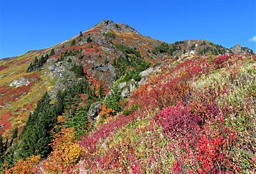 Yellow Aster Butte at Mount Baker Wilderness.jpg