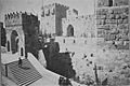מגדל - דוד , ירושלים-JNF001108