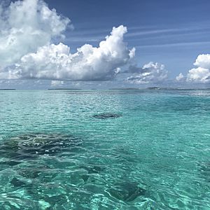 Aitutaki Atoll by Nick Longrich