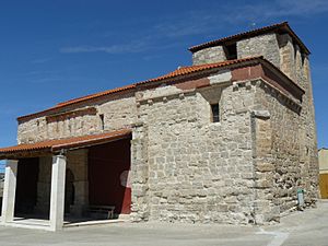 Amusquillo20110907123657P1130138