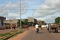 Bamako cattle
