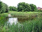 Barwick Pond off Barwick Lane near Barley Fields school (in background)