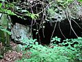 Beaver Valley Cave
