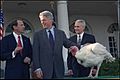 Bill Clinton, turkey pardon