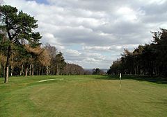 This is a green vista comprising a sunlit golf course link and hole with an upright flagpole all set within a Scots Pine plantation on either side. A sand bunker is off to the left. The sky is bright but largely clouded and there is a solitary golf ball just on the green in the foreground.