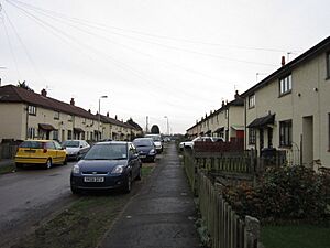 Brigham Grove, Preston Road Estate, Hull (geograph 3267840)