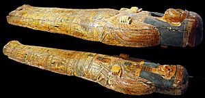 Bristol Museum mummy board