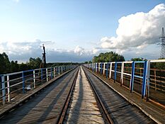 Bug bridge Małkinia