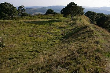 Burrow hill fort.jpg