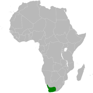 Calendulauda albescens distribution map.png