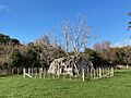 Carkeek Observatory MRD 07