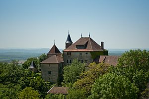 Château de Montagnieu