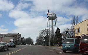 Delavan Wisconsin Water Tower and Vitrified Brick Street NRHP