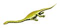 Dinocephalosaurus BW