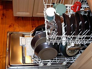 Dishwasher with dishes