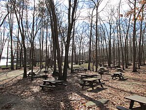 Douglas State Forest, Douglas MA