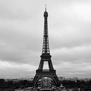 Eiffel Tower (Taken by Anthony Ludwar)