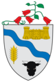 Escudo de Río Bueno
