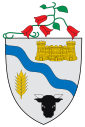 Coat of arms of Río Bueno