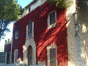 Fachada Tap de Cortí