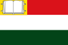 Flag of Monterrey, Casanare