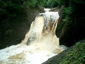 Gorge falls