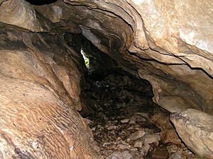 Inside Giant's Hole - geograph.org.uk - 188072