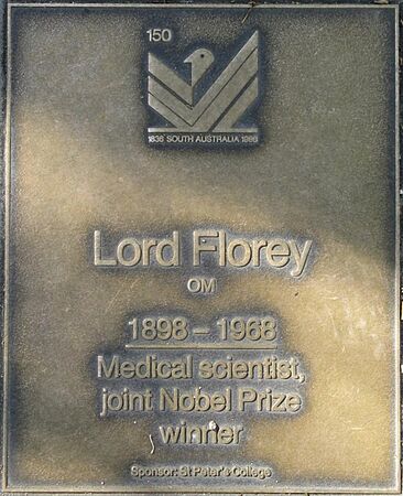J150W-Florey