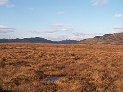Kentra Moss near Kentra - geograph.org.uk - 125936