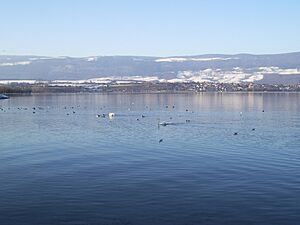 Lac Neuchâtel