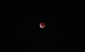 Lunar Eclipse 2021 Canberra