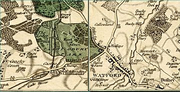 Map of Watford and Cassiobury Park by John Cary