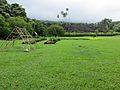 Maui-Piilanihale-Heiau&gardens