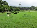 Maui-Piilanihale-Heiau&gardens.JPG