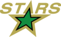 Minnesota North Stars Logo 1991-1993