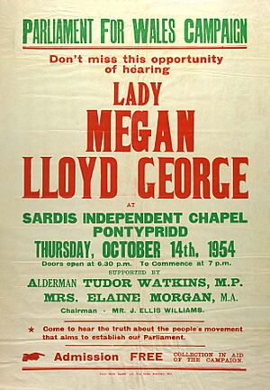 Parliament for Wales Campaign poster