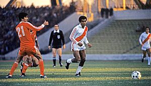 Peru v Iran (1978 FIFA World Cup)