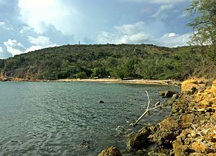 Playa Jaboncillo y Bosque Seco