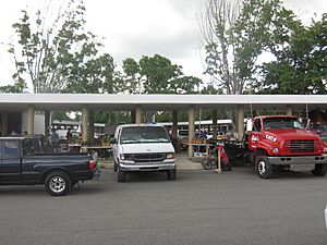 Plaza Agropecuaria en barrio Guatemala, San Sebastián, Puerto Rico