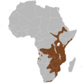 Potamochoerus larvatus map