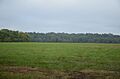 Prairie De Ann Battlefield
