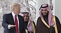 President Donald Trump & Deputy Crown Prince Mohammed bin Salman bin Abdulaziz Al Saud, March 14, 2017 cropped