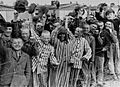 Prisoners liberation dachau