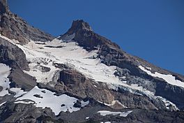 Reid Glacier (Oregon) 2618.JPG