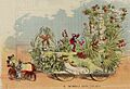 Romeo and Juliet Comus Parade New Orleans 1898