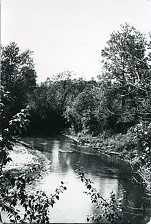 Section of Roaring River near Swan River, Manitoba 1937.jpg