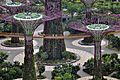 Singapore - panoramio (131)