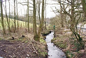Stream south of Brindley Ford (geograph 4899605)