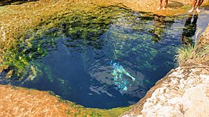 Swimming in Jacob's Well