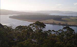Tamar river